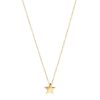 Halsband Edblad | Sirius Necklace Gold