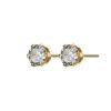 Orhangen Edblad | Crown Studs Gold