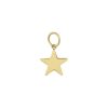 Berlocker Edblad | Charmentity Star Gold